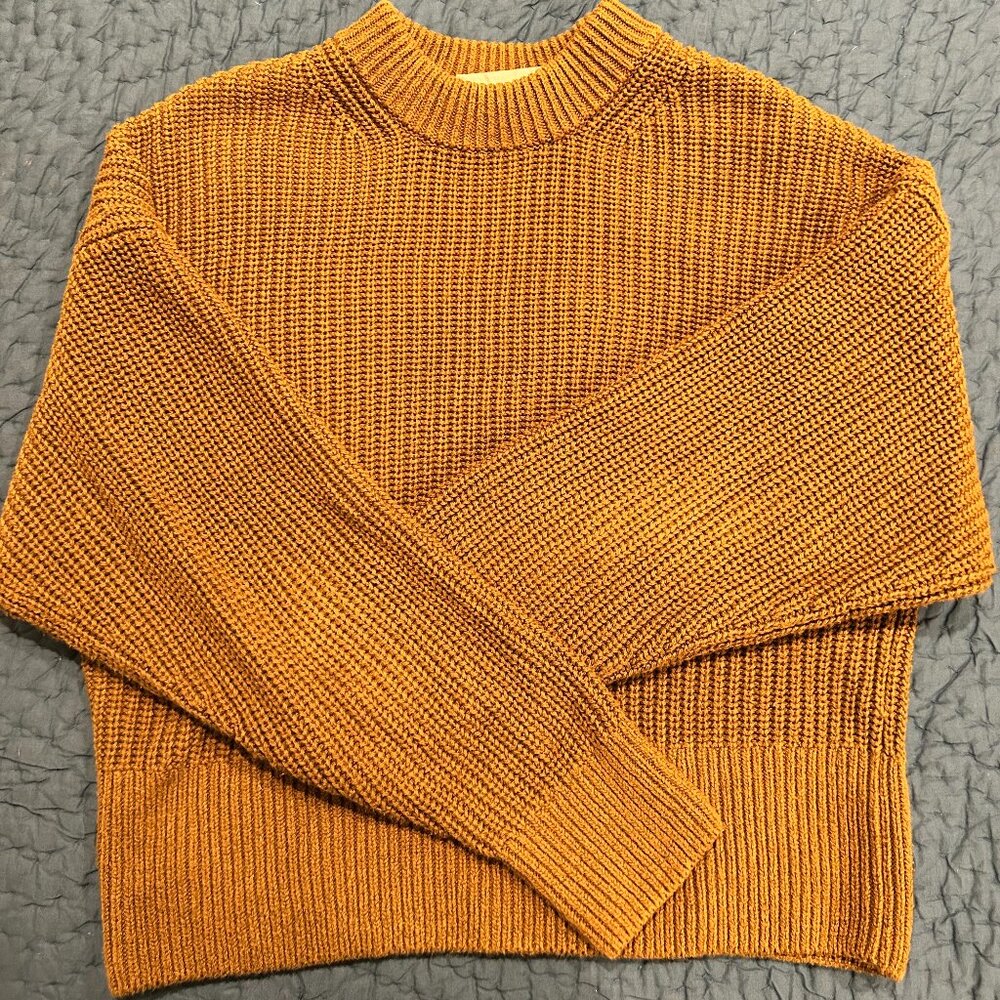 Everlane Texture Cotton Crew Sweater